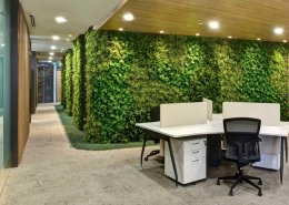 Desain Interior dengan Karpet Rumput Sintetis